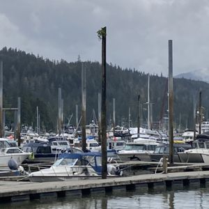 Auke Bay Cafe